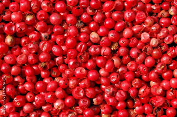 Fototapeta Red pepper