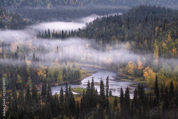 Obraz Scenic landscape view with morning fog and fall colors at moody day in Kuusamo, Finland
