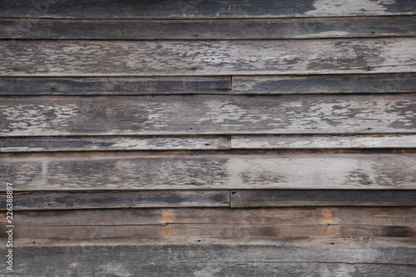 Obraz Wood texture or background.