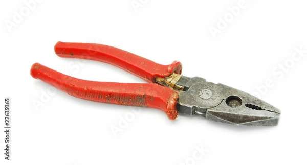 Obraz old pliers