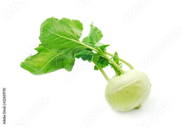 Obraz turnip