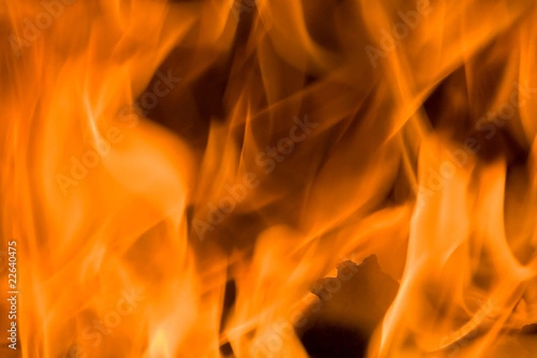 Obraz Flames of Fire