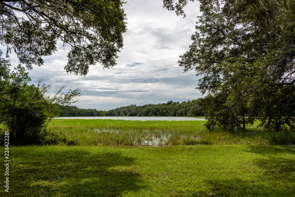 Obraz landscape with trees and cloudy sky