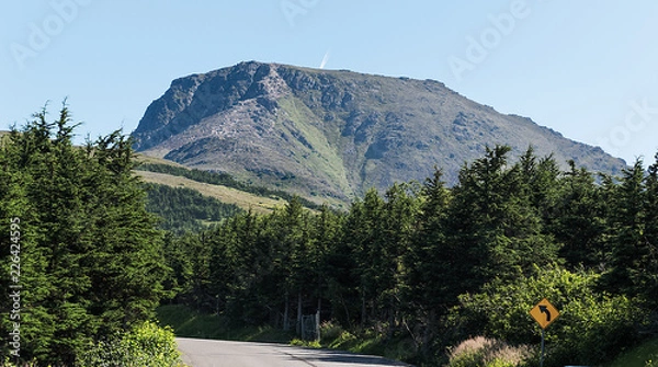 Obraz Flattop Mountain Alaska