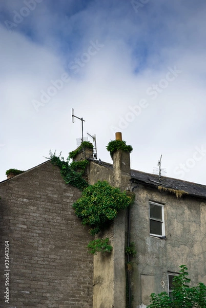 Obraz Hinterhof England