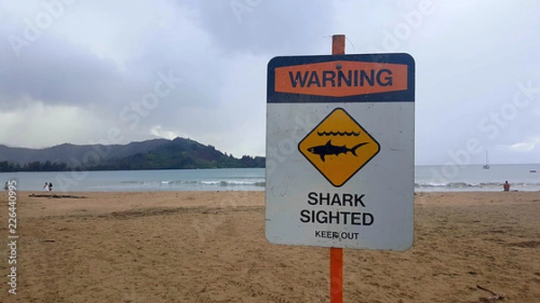 Obraz Warning sharks in water.