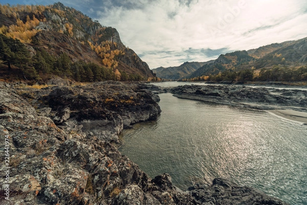 Obraz ALtay - Chemal. (Алтай - Чемал)