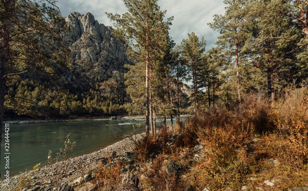 Obraz ALtay - Chemal. (Алтай - Чемал)