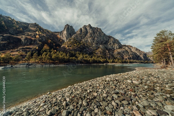 Obraz ALtay - Chemal. (Алтай - Чемал)