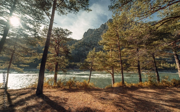 Obraz ALtay - Chemal. (Алтай - Чемал)