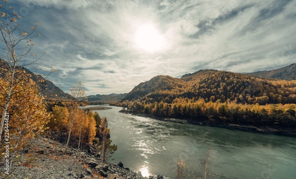 Obraz ALtay - Chemal. (Алтай - Чемал)
