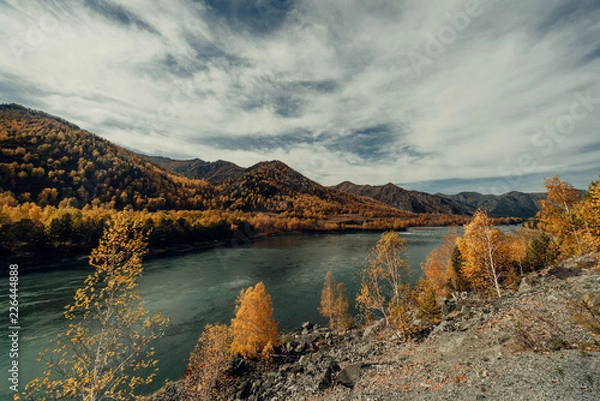 Obraz ALtay - Chemal. (Алтай - Чемал)