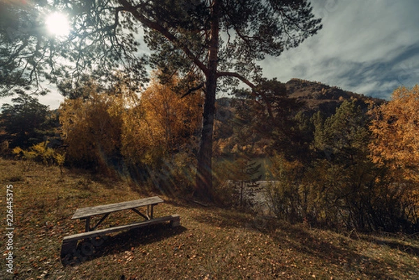Obraz ALtay - Chemal. (Алтай - Чемал)