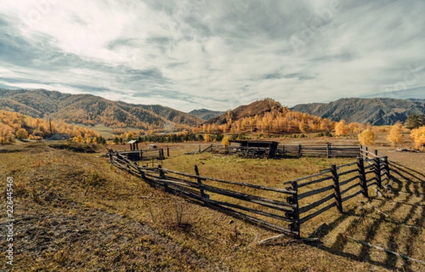 Obraz ALtay - Chemal. (Алтай - Чемал)