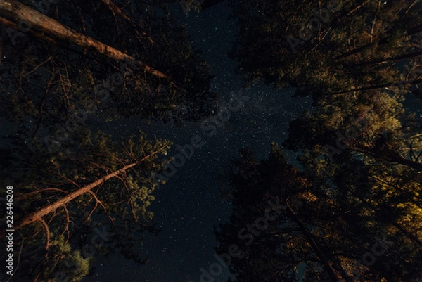 Obraz ALtay - Chemal. (Алтай - Чемал)