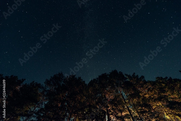 Obraz ALtay - Chemal. (Алтай - Чемал)