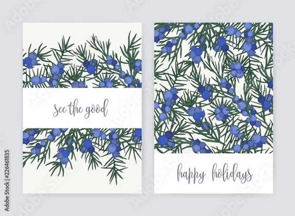Fototapeta Bundle of postcard templates with juniper berries and leaves on white background and holiday wish. Set of cards decorated by beautiful coniferous plant. Colorful hand drawn vector illustration.