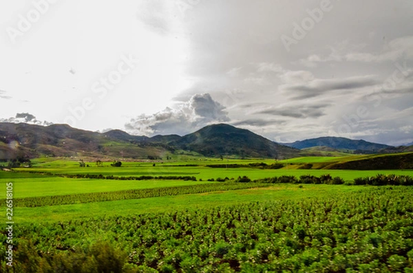 Fototapeta Green fields planted with clouds and mountains on the road to Moray, Peru