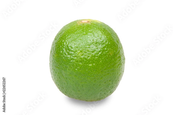 Obraz Lime