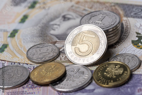 Obraz Polish zlotys 