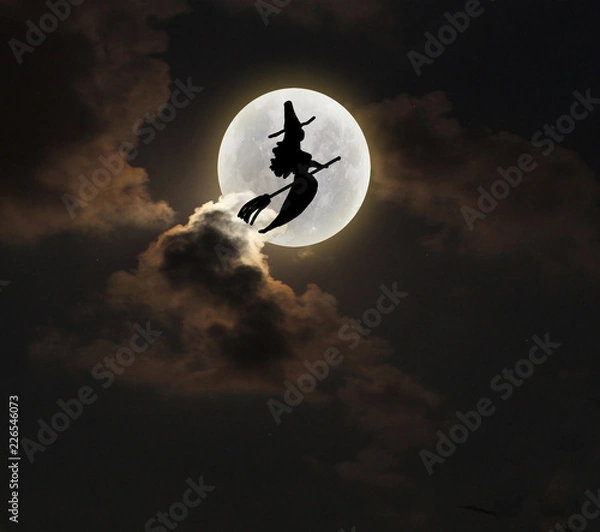 Obraz Halloween Moon and witch