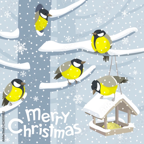 Obraz Vector Christmas birds and birdfeeder Christmas image
