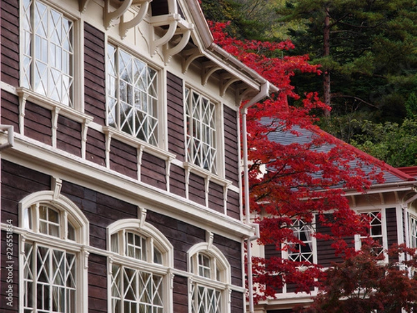 Obraz 日本の紅葉