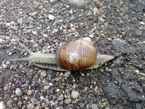 Fototapeta Exif_JPEG_420