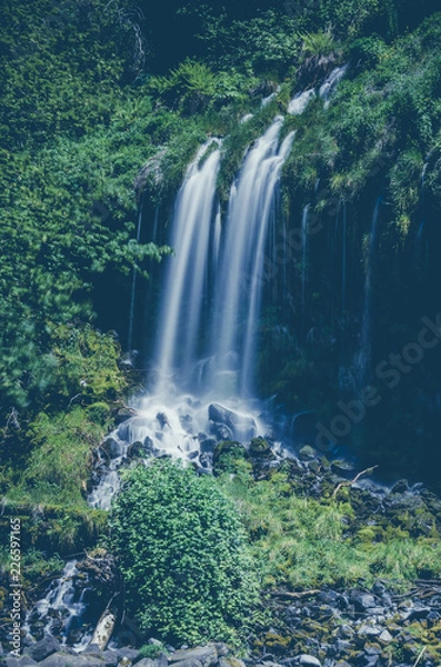 Obraz waterfall in forest