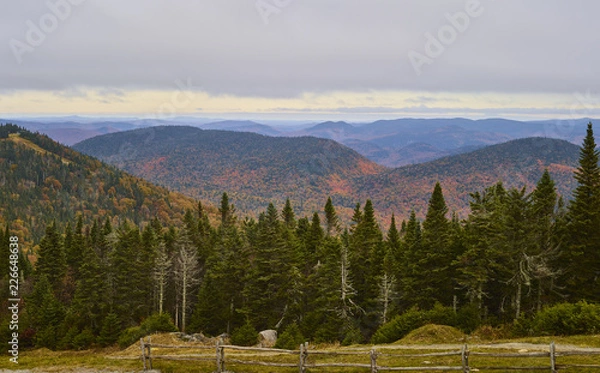 Obraz Laurentuan Mountains 003