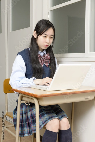 Fototapeta 真剣にパソコンで勉強する女子高校生