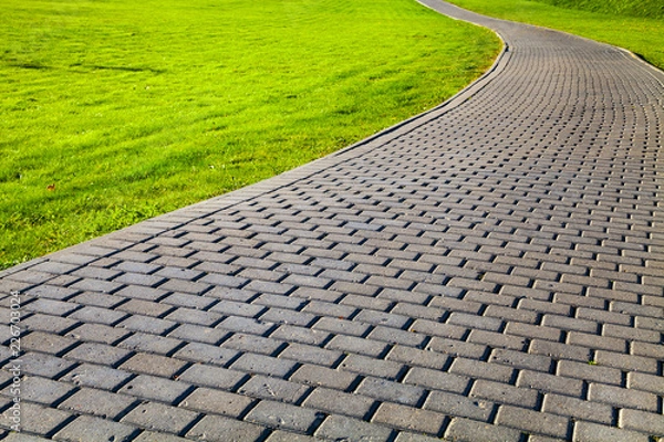 Fototapeta Garden stone path with grass