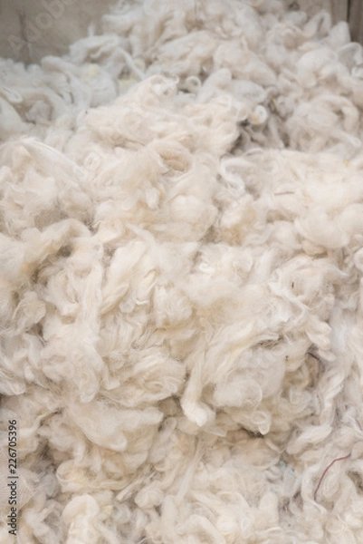 Obraz Close up of Australian Merino Wool Warm Craft Fibre/Fabric Industry Concept