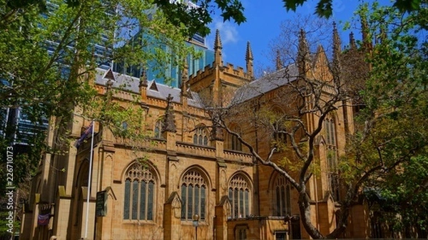 Obraz St. Andrew's Cathedral, Sydney