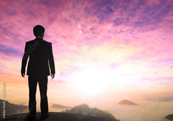 Fototapeta Business concept: a businessman standing on the mountain top