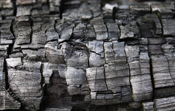 Obraz old stone wall