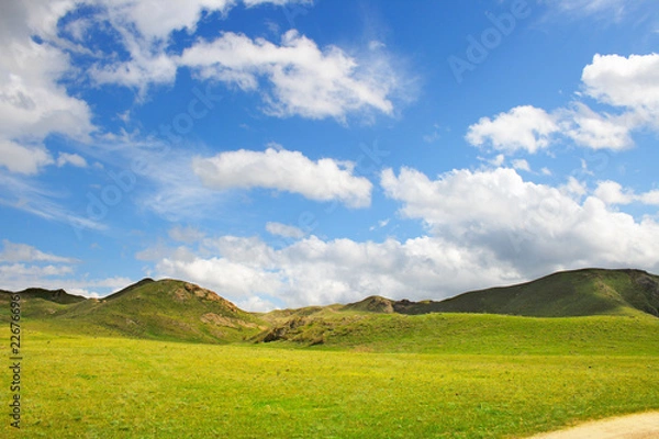 Obraz meadow with  mountain landscape