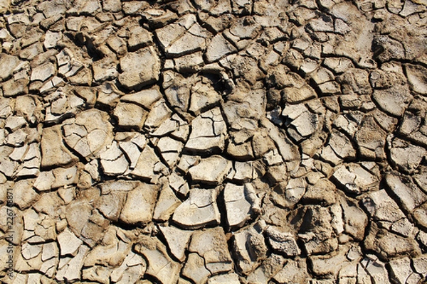 Obraz dry cracked earth