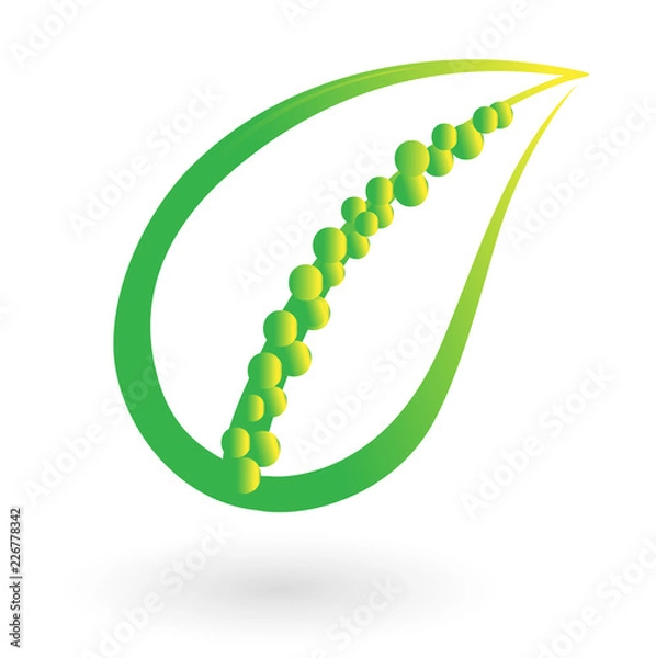 Obraz Vector with leaves in the middle.