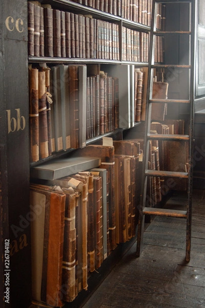 Obraz OLYMPUS DIGITAL CAMERA