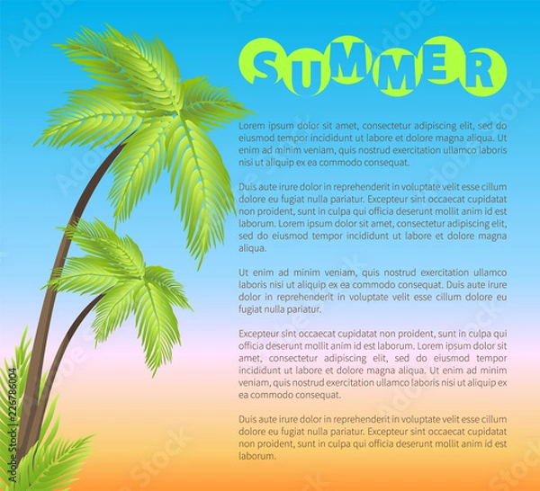 Fototapeta Summer Poster with Palms, Vector Illustration