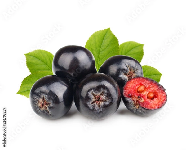 Obraz Chokeberry with leaves isolated on white background