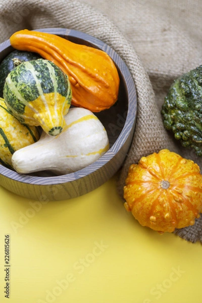 Obraz Various Gourds on Yellow