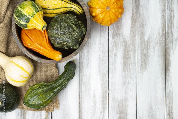 Obraz Various Gourds on Wood