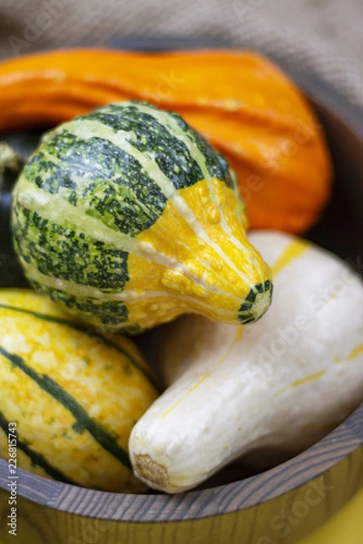 Obraz Close-up of Various Gourds