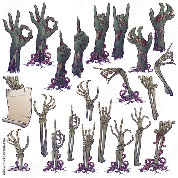 Obraz Zombie body language. Set of lifelike rotting zombie hands and skeleton hands rising from under the ground and torn apart. linear drawing isolated on white background. EPS10 vector illustration