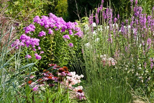 Obraz Łóżko wieloletnie