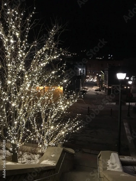 Fototapeta lights in the tree