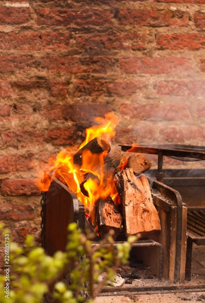 Obraz The fire is on