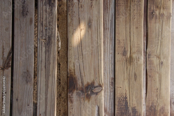 Obraz wood background